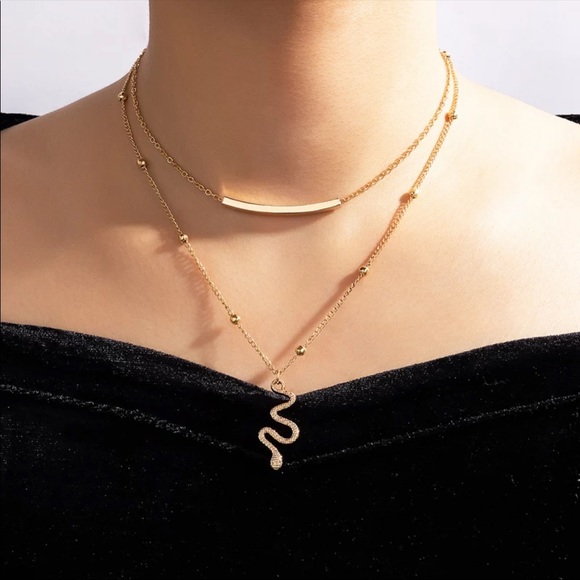 🆕 Layered Snake + Curved Bar Necklace - Picture 1 of 4